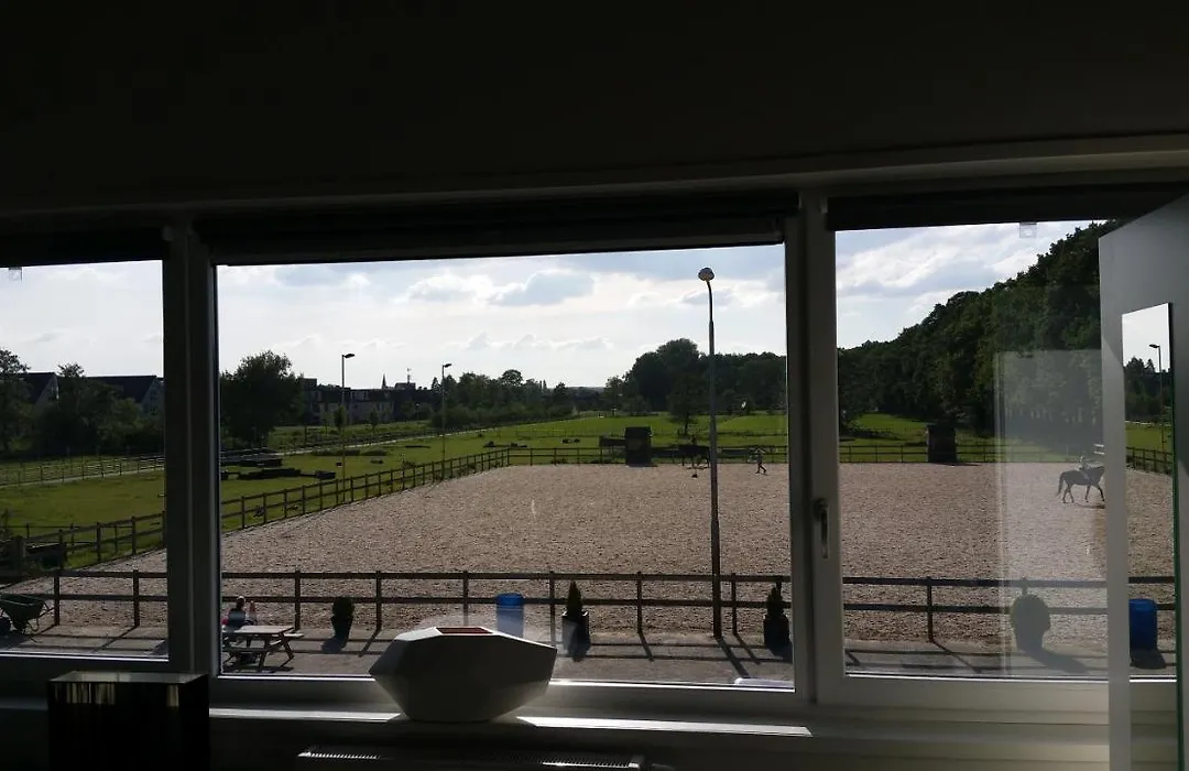 B&B Manege Groenewoude-1
